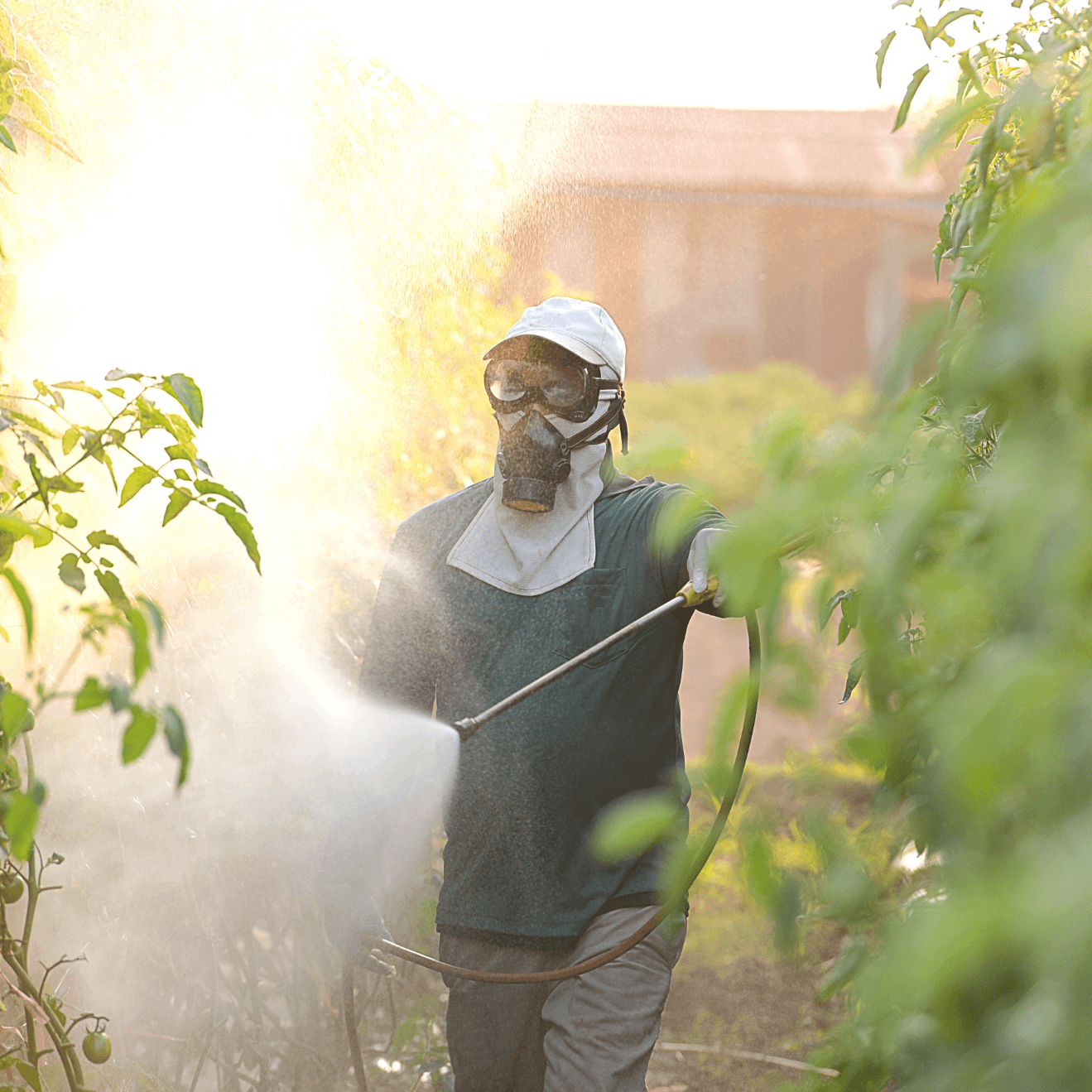 California Department of Pesticide Regulation (DPR)