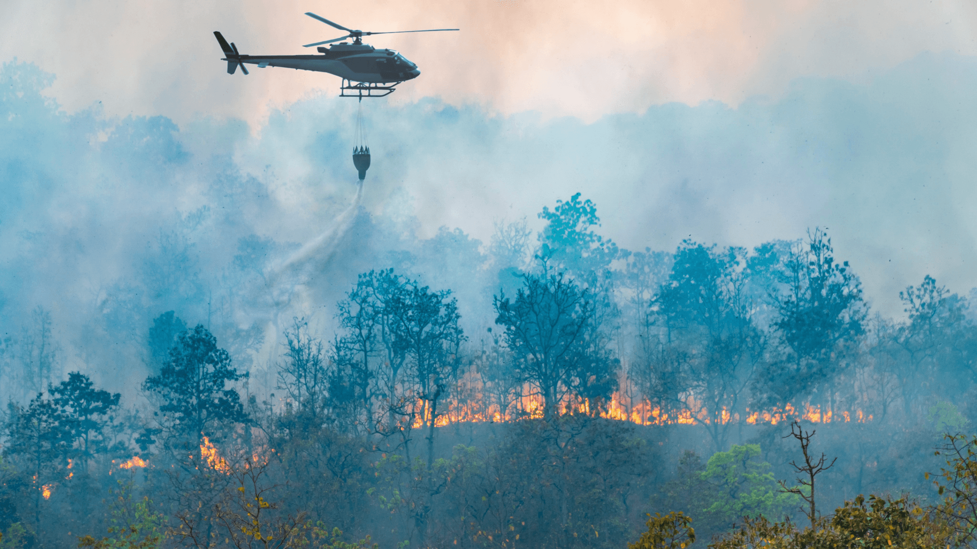 Modernizing Case Management for CAL FIRE