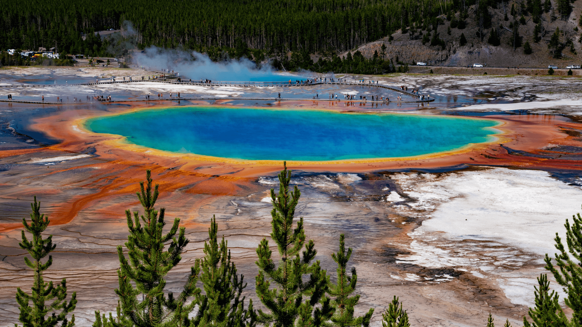 Expenditure Management for National Park Service (NPS)